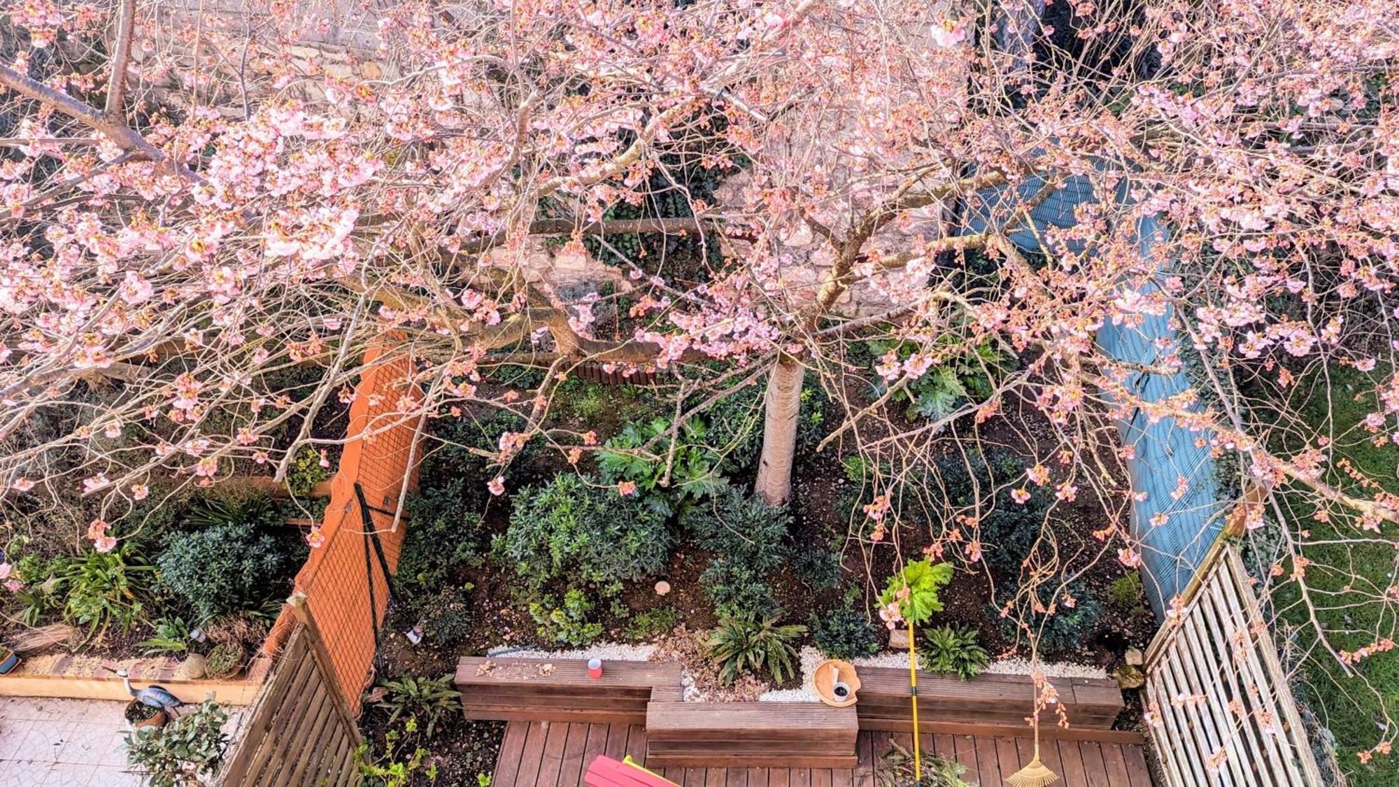 Maison Avec Jardin Au Sud De Paris Apartment Gentilly Ngoại thất bức ảnh